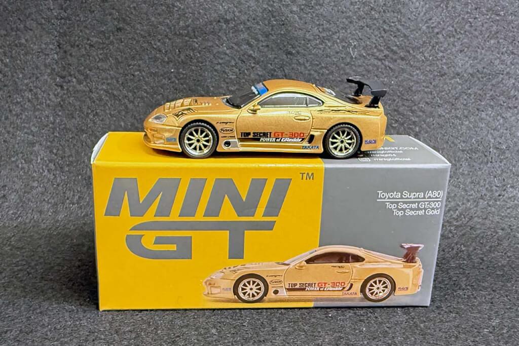 minigtgt300IMG_8950